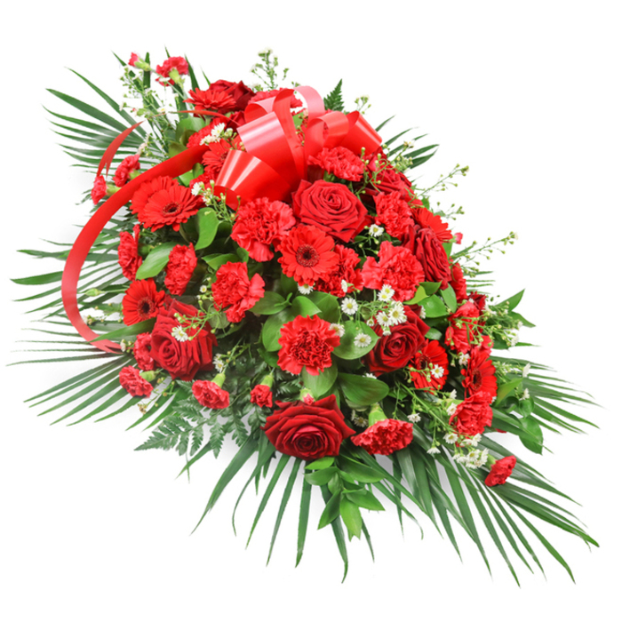 This elongated red funeral spray appears against a crisp white background, every petal and leaf clearly defined, as though just finished on a workbench in a Catford florist's studio. The composition flows from a full, rounded centre to softer, tapered ends, creating a classic, one-sided casket spray profile. At its heart, rich clusters of deep red roses and carnations form a velvety core. The roses, with their layered spirals and gentle sheen, speak of enduring love, while the carnations add fullness and soft ruffle, their many petals tightly packed yet delicate. Red gerbera daisies punctuate the arrangement, their broad, daisy-like faces and bold, almost graphic petals lending a contemporary touch that keeps the spray from feeling too traditional. Threaded between the red blooms are fine sprigs of tiny white flowers, perhaps baby's breath or small chrysanthemum sprays, adding lightness and giving the eye a place to rest. A generous red satin ribbon crowns the upper section, tied in a neat, voluminous bow, with long streamers that trail down across the flowers, as if drawing the gaze along the length of the tribute. Surrounding this central band of flowers, lush green foliage provides structure and depth. Long palm leaves fan out from the base and sides, giving a sense of movement and framing the tribute, while darker, broader leaves such as salal or ruscus create a dense backdrop. Wisps of fern-like greenery soften the edges. The arrangement feels both powerful and calm, perfectly suited to rest atop a casket or stand at the front of a service in Catford, Bellingham, or nearby Grove Park, offering a strong yet tender farewell in tones of deep red and forest green.