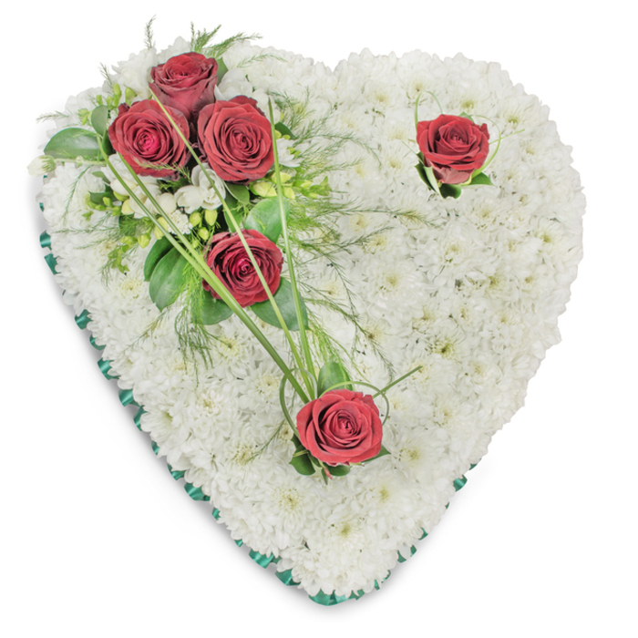 Crafted with the attention of a neighbourhood florist, this heart-shaped sympathy wreath is entirely covered with small, immaculate white chrysanthemums that form a dense, cushioned canvas. The surface reads as a cloud of texture and light, each miniature bloom placed for fullness and evenness. A trio of deep red roses gathers on the upper left, their velvety petals open and supported by glossy leaves and soft, ferny sprays; two more solitary crimson roses rest at the upper right curve and at the heart's lower point, balancing the composition and inviting a quieter moment of contemplation. Long, slender bear grass strands and delicate ruscus sprigs arc naturally from the cluster, giving a gentle sense of movement as if the piece breathes. Subtle white filler blooms are tucked around the cluster to add softness without breaking the simple colour story. The entire heart is edged with a thin emerald-green satin ribbon, a neat, sombre frame that enhances the pure white body. Under soft, directional lighting the roses gleam and the chrysanthemums show their layered texture, producing a respectful depth that reads well in a funeral setting or chapel service. As Catford Flowers, we often prepare this classic tribute for local services around Catford Broadway, Rushey Green and the Ladywell area - it carries the traditional symbolism of love, remembrance and abiding respect and sits with quiet dignity beside a casket or at a graveside.