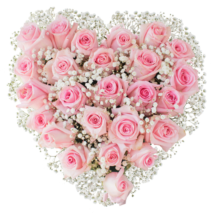 An arresting heart-shaped composition of soft pastel pink roses sits against a spotless white background, its carefully controlled silhouette defined by the dense placement of each bloom. Approximately two to three dozen roses are arranged so their rounded faces abut one another, producing a lush, velvety carpet of petals that moves from the palest blush at the edges to slightly richer pinks toward the centers. The roses vary in openness-some are tight and poised, others relaxed and unfurling-allowing glimpses of layered spirals and subtle petal veining under the bright, even illumination. Scattered among them, uncountable tiny sprigs of white baby's breath (Gypsophila) impart a delicate, cloud-like texture that both lightens and frames the heart, their tiny white dots acting like lace against the pink backdrop. The overall visual is refined and quietly romantic, the sort of arrangement that radiates tenderness rather than theatricality: a calm, reassuring bloom for engagements, thoughtful anniversaries, Mother's Day, or a pared-back wedding accent. Close observation reveals the painstaking floral craft-the hidden support, the precise stem lengths, the balanced colour rhythm-which together create a sense of symmetry without stiffness. I imagine this piece brightening a bedside table in a Catford flat, resting on a café table near Mountsfield Park, or gracing the lobby of a small community venue off Catford Broadway. The scent would be light and classic, the petals soft beneath a fingertip, and the heart shape reads as a timeless, tactile message of affection and devotion.