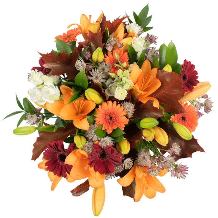 A slightly elevated, close-in study of a bountiful autumn bouquet photographed on a clean white surface so colours and textures read with clarity. The scene is led by several large, unfurled orange Asiatic lilies whose broad, trumpet-like petals fan open with a smooth, almost glossy texture; dotted among them are tightly wrapped lily buds in pale orange and bright green that suggest unfolding life. Bright orange Gerbera daisies and deep burgundy-red gerberas punctuate the arrangement, their radial petals forming cheerful, sunflower-like disks that contrast beautifully with the creamy, layered lisianthus blooms tucked nearby. The lisianthus provide soft, ruffled pockets of ivory that calm the palette and add a refined, romantic touch. Sprays of muted purple Astrantia lend intricate, spidery texture and a delicate, airy counterpoint to the denser blooms. Interspersed throughout are broad, deeply lobed leaves in warm reddish-brown and chestnut tones-like carefully chosen fallen oak leaves-strategically placed to reinforce the season and add sculptural interest. Fresh green leaves and slender stems thread through the bouquet, creating structural rhythm and a lively backdrop. The tight, professional composition reads as both abundant and carefully considered; under bright studio lighting the colours seem to glow with late-afternoon warmth and the bouquet exudes a subtle, woodsy-floral perfume. Ideal for Thanksgiving tables, harvest celebrations, or as a heartfelt autumn gift for neighbours near Mountsfield Park or flats off Loampit Vale, this arrangement celebrates the tactile pleasure of petals and leaves and the comforting hush of the season.