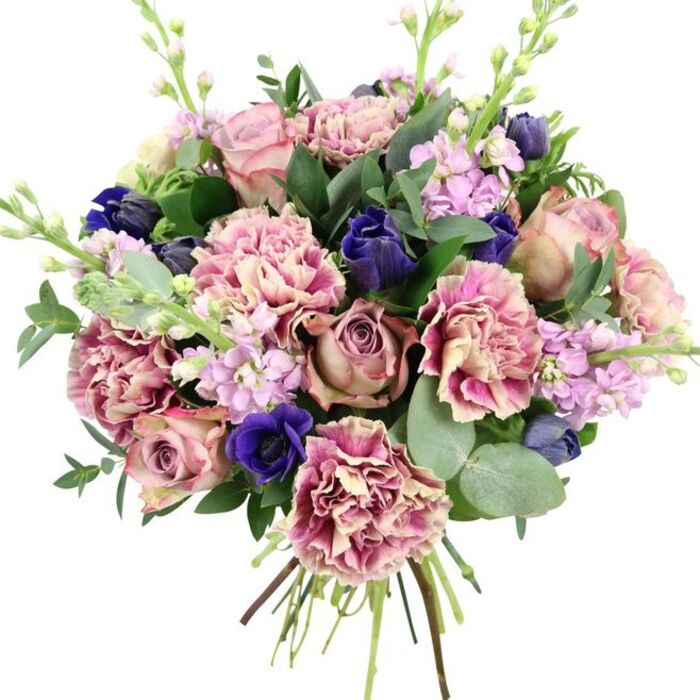 A richly textured bouquet sits against a clean white backdrop, every stem placed with the kind of care you'd expect from a long-established Catford florist. The composition is built around several large garden roses, their petals opening in flawless spirals that move from pale blush through to sophisticated dusty mauve, creating a soft, romantic focus at the centre. Interlaced with them are generous carnations, their layered, ruffled petals shifting from warm cream to blush and deeper rose tones at the edges, giving the arrangement an almost cloud-like fullness. Among these pastel hues, intense indigo blooms appear as sleek, tulip-like buds, while a standout royal blue anemone with a nearly black heart draws attention near the bottom front, adding drama and depth. Slim stems of pale lavender and lilac stock weave upwards, dotted with tiny blooms that soften the overall shape and introduce a gentle vertical line, as though the flowers are reaching towards soft afternoon light. Surrounding the blossoms is a collar of mixed greenery: rounded, silver-green eucalyptus leaves layered with darker, glossy foliage that frames the colours and hints at a cool, aromatic freshness. The stems are neatly gathered and cut at the base, clearly showing this is a hand-tied bouquet ready for delivery across Catford, from homes near Rushey Green to quiet streets around Bellingham. The palette of romantic pinks, serene purples, bold blues, and calming greens gives the bouquet an elegant versatility, making it just as suitable for a stylish birthday arrangement as for an anniversary surprise or a comforting gesture sent to someone who needs a touch of beauty in their day.