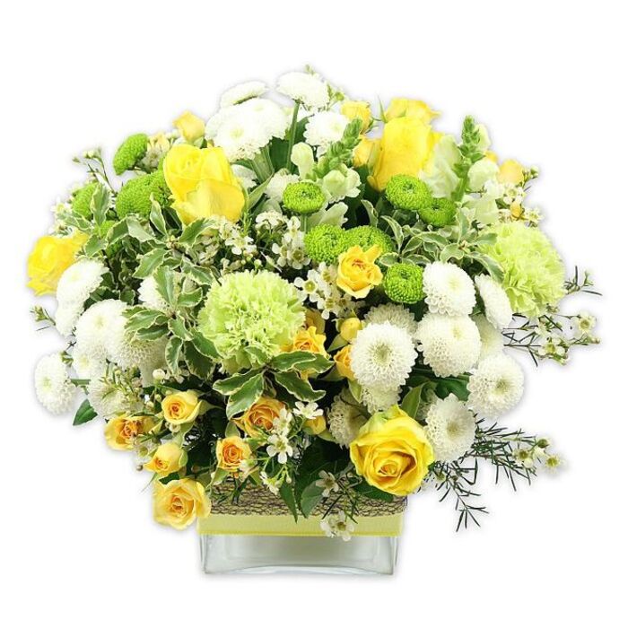 A lush, rounded bouquet of sunny yellow, creamy white, and vivid green flowers fills a low, rectangular clear glass vase, the arrangement carefully styled to look both abundant and perfectly balanced. In the centre, cheerful yellow roses unfold in elegant spirals, their velvety petals catching the light, while nearby rosebuds hint at blooms still to come. Clusters of petite yellow spray roses nestle between them, creating little pockets of colour that draw the eye across the design. Throughout the bouquet, compact white pompom chrysanthemums form neat, spherical blooms, adding a soft, cushion-like texture and enhancing the sense of fullness. Tucked in among these are bright lime green button chrysanthemums, tiny and button-round, which bring a lively, modern twist. Slightly larger pale green blossoms, reminiscent of ruffled carnations or decorative green mums, add another layer of interest, their frilly petals giving a gentle, cloudlike feel. The flowers are cradled by a rich variety of foliage: broad variegated leaves with light edges, darker glossy greenery, and airy sprigs of filler greens weave together to frame the brighter petals. Sprinkled throughout are minute star-shaped white filler flowers, which seem to glimmer softly against the richer tones. The stems are visible through the clear glass, adding a clean, structured base, while the middle of the vase is wrapped in a textured, natural band-perhaps raffia or bark-overlaid with a soft, pale yellow ribbon tied neatly around. This thoughtful detailing gives the piece a slightly rustic yet polished character, much like a carefully curated bouquet prepared by Catford Flowers for a celebration near Ladywell Fields. The overall impression is one of warmth, freshness, and quiet joy, perfect as a centrepiece for a family gathering, a congratulatory gift, or a bright accent in a Catford kitchen filled with morning light.