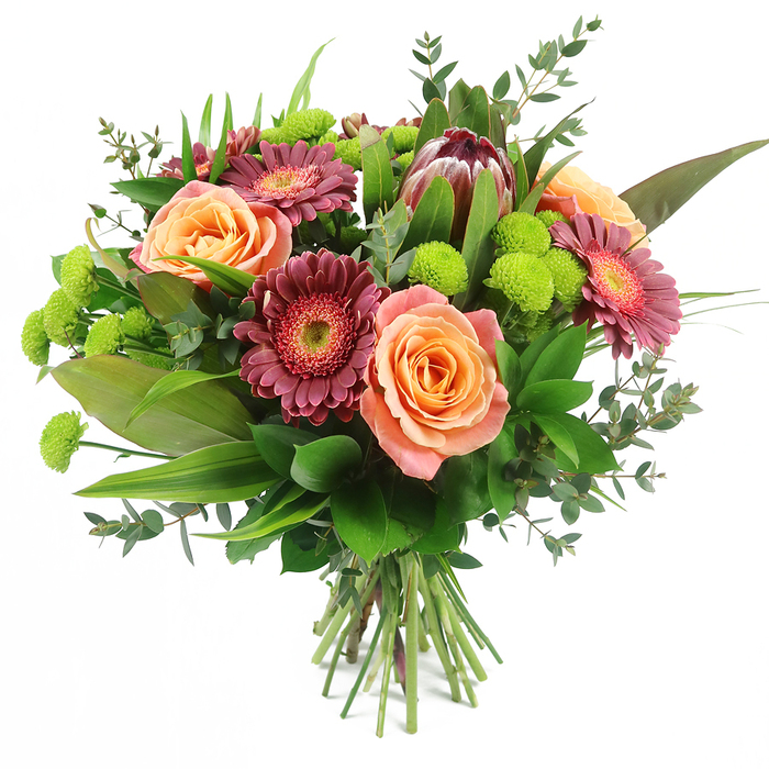 This richly textured bouquet is photographed against a clean white backdrop, allowing every hue and petal to stand out as clearly as if it were resting on a sunlit table in a Catford home. At the centre, generous roses in tones of peach, apricot and soft salmon pink gently open, their velvety petals layered in tight spirals that gradually loosen towards the edges. Some blooms show a subtle change in colour from pale, creamy outer rims to more intense, almost golden orange hearts, giving the arrangement a softly glowing warmth. Surrounding these are bold gerbera daisies in deep magenta, fuchsia and burgundy, each flower displaying numerous fine petals that radiate from lighter, often slightly textured centres, adding contrast and a sense of depth, as if the blooms are gently reaching outwards. A dramatic King Protea stands towards the top of the bouquet, its sturdy, cone-shaped head formed from overlapping bracts in reddish-brown and mauve-pink shades, with delicate blush tones at the pointed tips, bringing a distinct, exotic character that anchors the design. Among the larger flowers, bright lime-green Santini chrysanthemums cluster like neat, playful spheres, their cheerful, pom-pom forms injecting a fresh, citrus brightness reminiscent of spring walks through Mountsfield Park. The entire arrangement is wrapped in layers of greenery: broad, glossy dark-green leaves form a solid base; long, narrow blades provide structure and vertical movement; and rounded, bluish-green eucalyptus sprigs thread through the bouquet, adding airy texture and a subtle, refreshing fragrance. At the bottom, the stems are neatly trimmed and bound together, clearly showing a professional hand-tied technique ready for a favourite vase. Full, rounded and abundant, this bouquet is ideal for celebrating birthdays, anniversaries, promotions or simply sending a warm hello to someone in Catford, Forest Hill or the wider SE6 area.